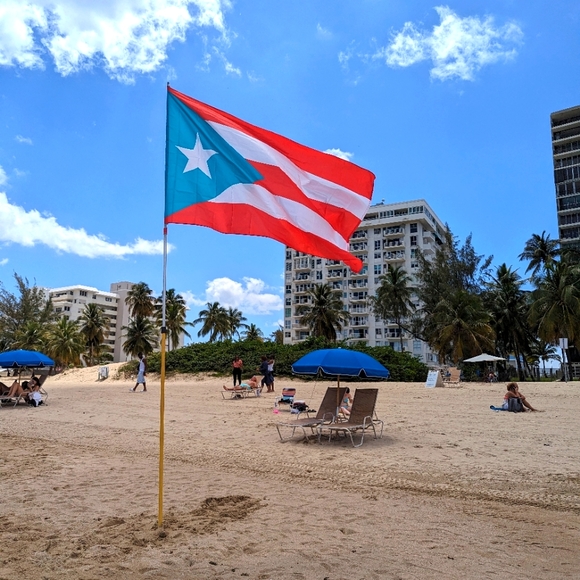 Meet your Posher, Daisy - Picture 6 of 16